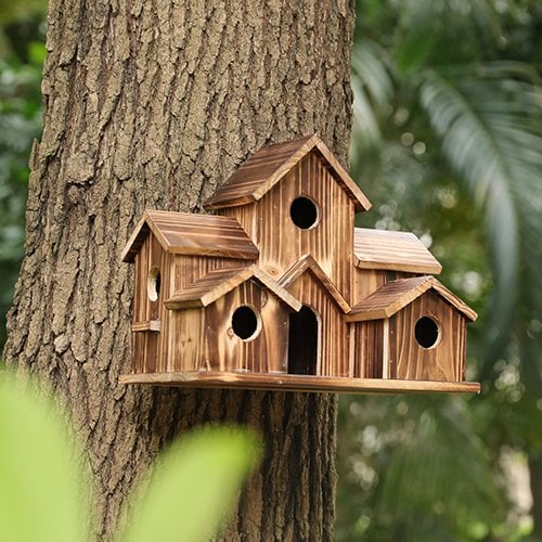 Vogelhuisje - Nestkast voor Kleine Vogels Waterproof