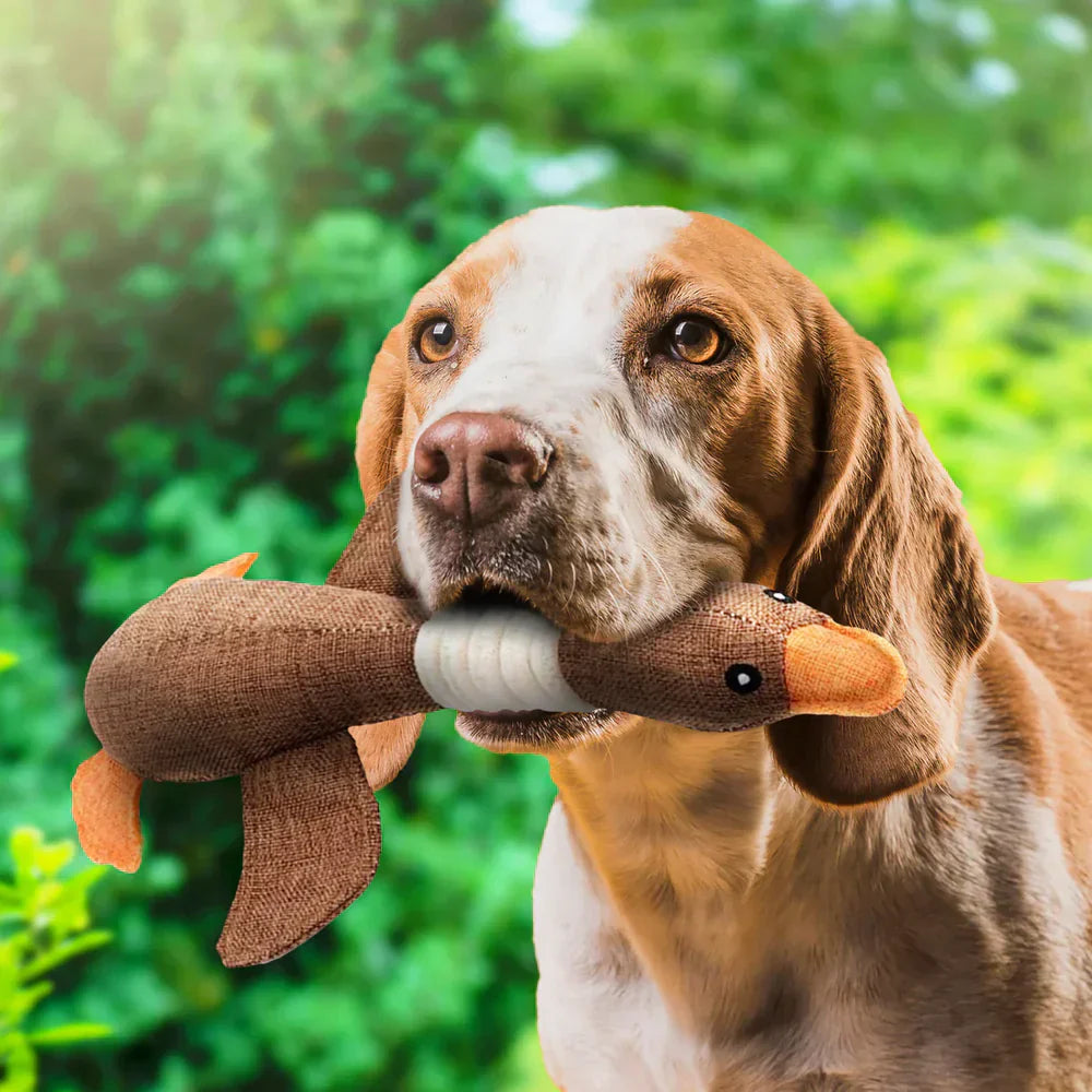 Eend Speelgoed voor Honden - Duurzaam Kauwspeelgoed 30cm