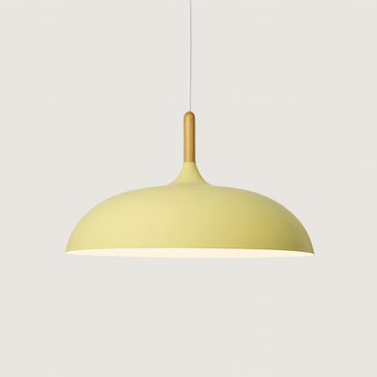 Retro Pendellamp Houten Armatuur Pastelkleurig Metalen Kap