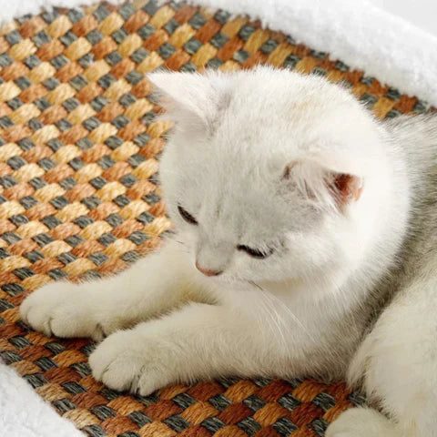 Katten Krabpaal Hout en Sisal met Ligvlak