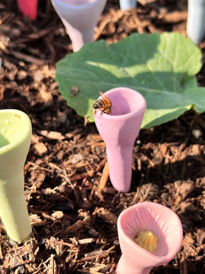 Bijvriendelijke Waterbak voor Tuin en Tuinpaddenstoelen