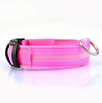 Dierenhalsband met LED-licht Oplaadbaar en Waterbestendig