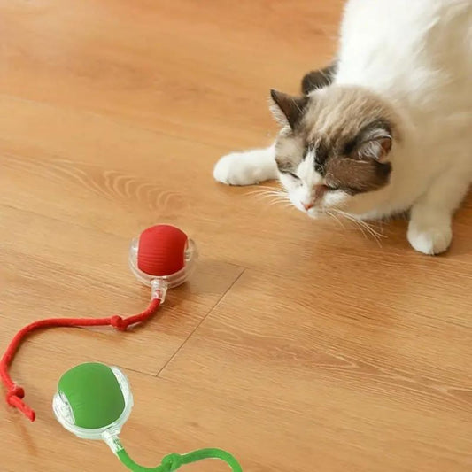 Interactieve Kattenbal met Staart en Beweging Binnenspeelgoed - Velinix