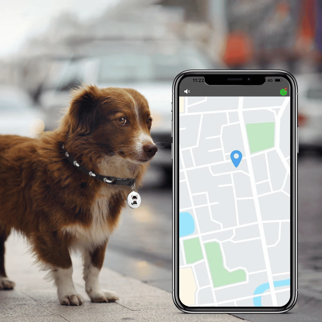 GPS Tracker voor Honden en Katten Android en iOS