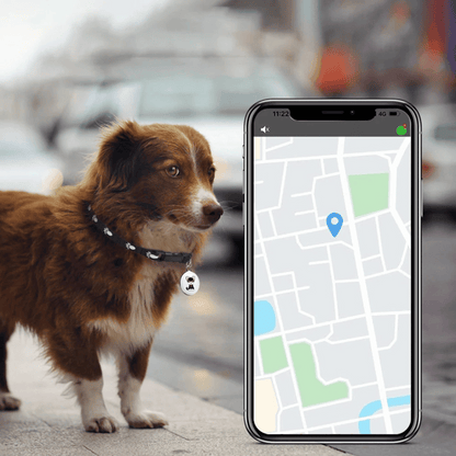 GPS Tracker voor Honden en Katten Android en iOS