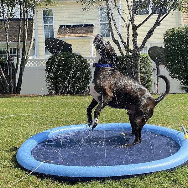 Honden Speelgoed en Accessoires voor Watersport