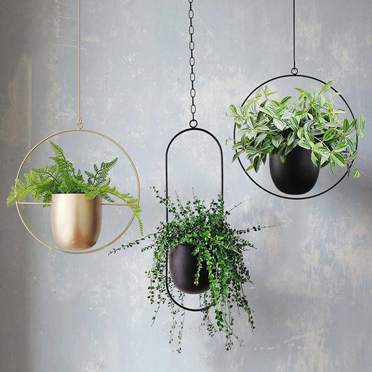 Muurplantenhouder Metalen Elegante Design voor Planten - Velinix