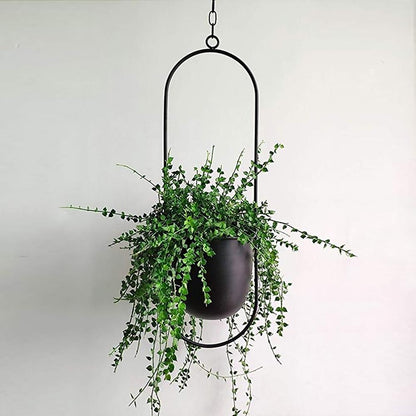 Muurplantenhouder Metalen Elegante Design voor Planten