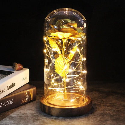 LED Rose Lamp Dimbaar voor Sier en Verlichting