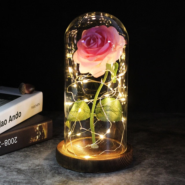 LED Rose Lamp Dimbaar voor Sier en Verlichting
