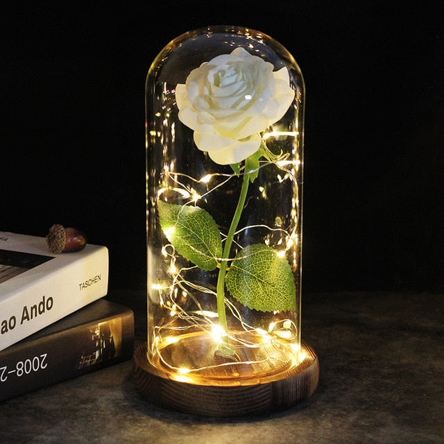LED Rose Lamp Dimbaar voor Sier en Verlichting