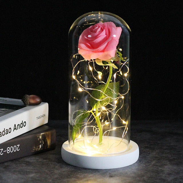 LED Rose Lamp Dimbaar voor Sier en Verlichting