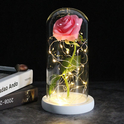LED Rose Lamp Dimbaar voor Sier en Verlichting