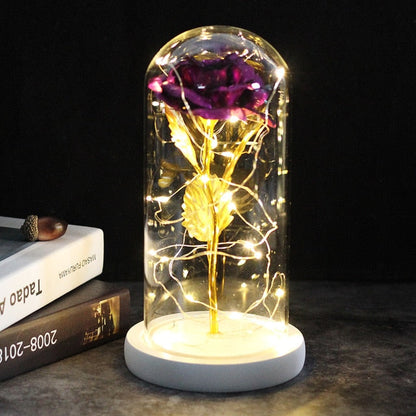 LED Rose Lamp Dimbaar voor Sier en Verlichting