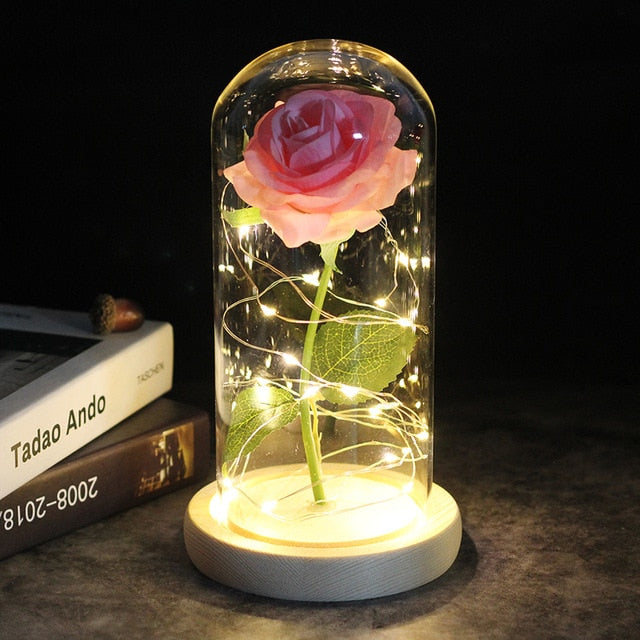 LED Rose Lamp Dimbaar voor Sier en Verlichting