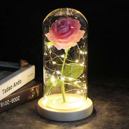 LED Rose Lamp Dimbaar voor Sier en Verlichting