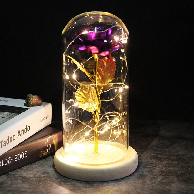 LED Rose Lamp Dimbaar voor Sier en Verlichting