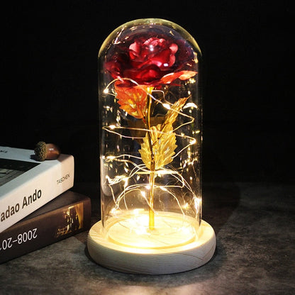 LED Rose Lamp Dimbaar voor Sier en Verlichting