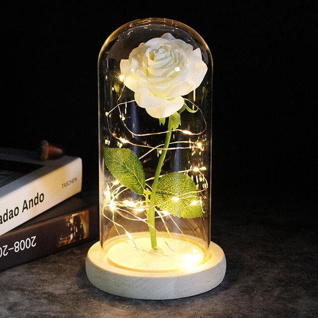 LED Rose Lamp Dimbaar voor Sier en Verlichting