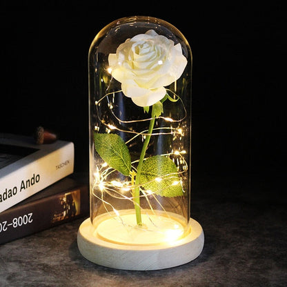 LED Rose Lamp Dimbaar voor Sier en Verlichting
