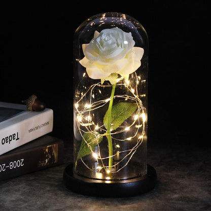 LED Rose Lamp Dimbaar voor Sier en Verlichting