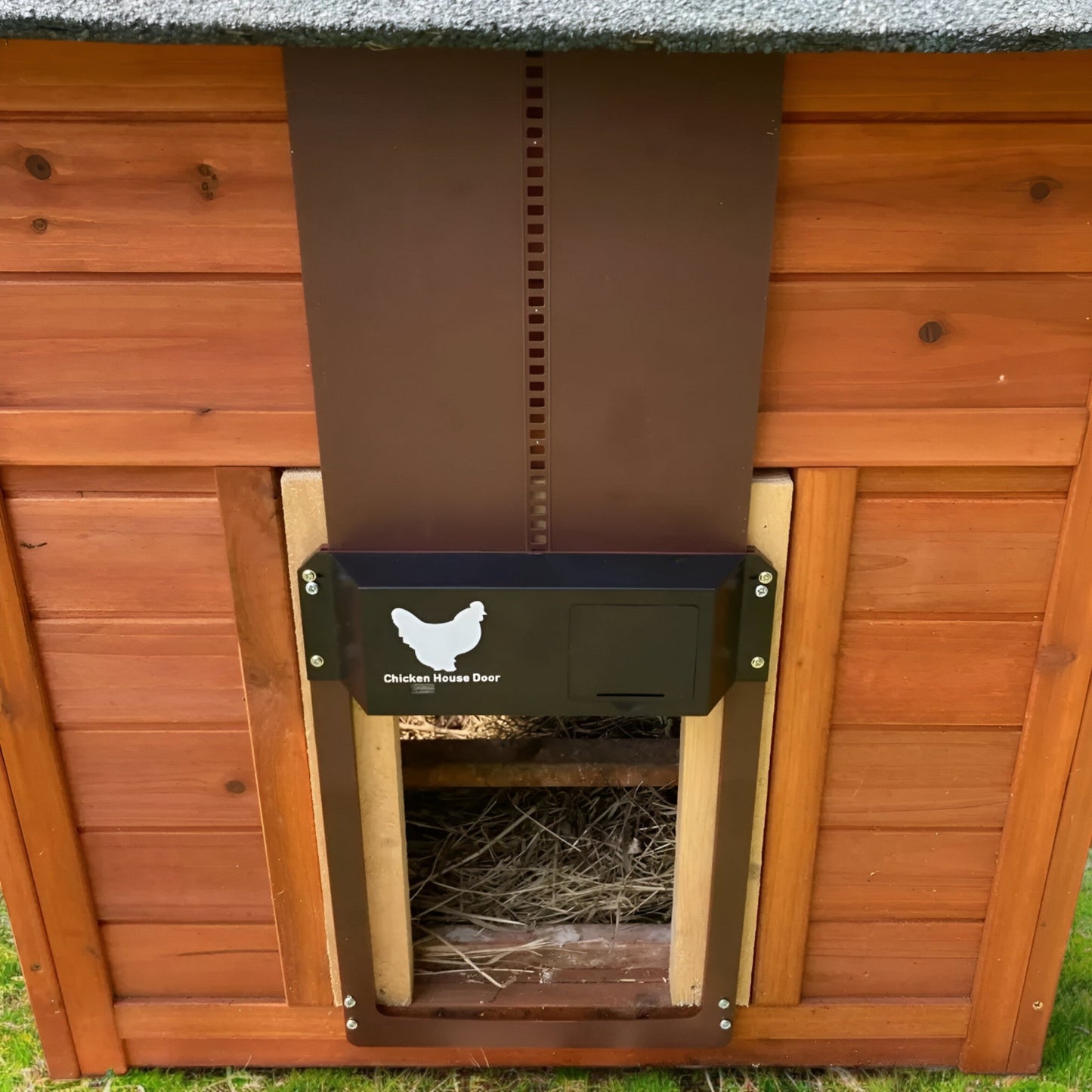 Automatische Kippenluik voor Pluimvee