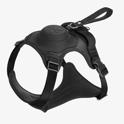 Huisdierriem met Flexibele Leash voor Honden
