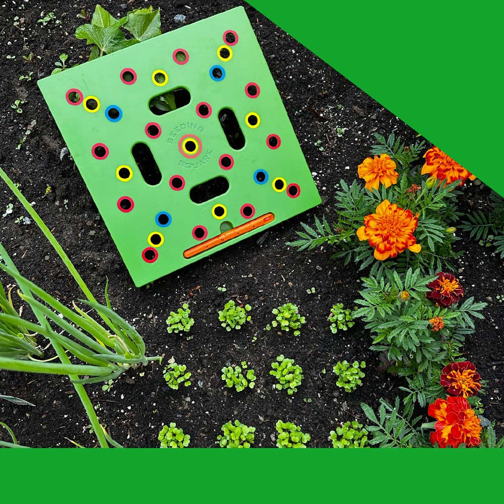 Zaadspruitset voor Beginners met Premium Gereedschap