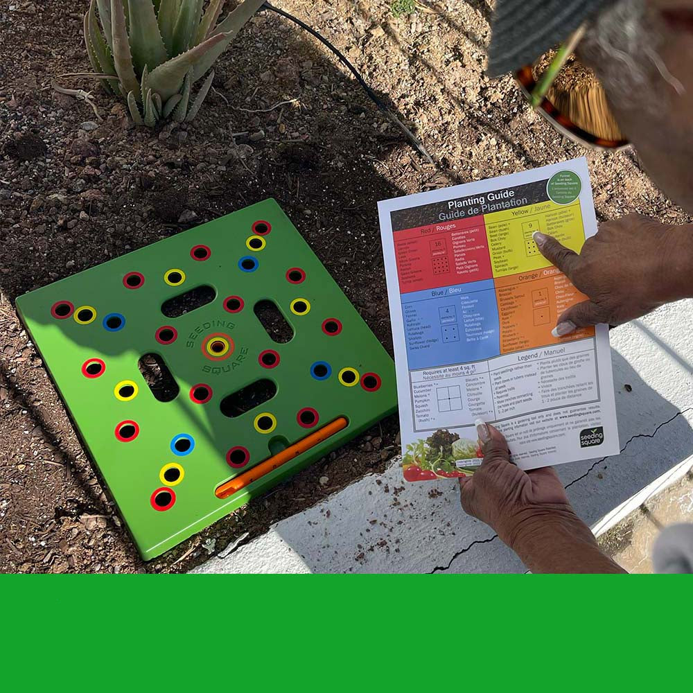 Zaadspruitset voor Beginners met Premium Gereedschap