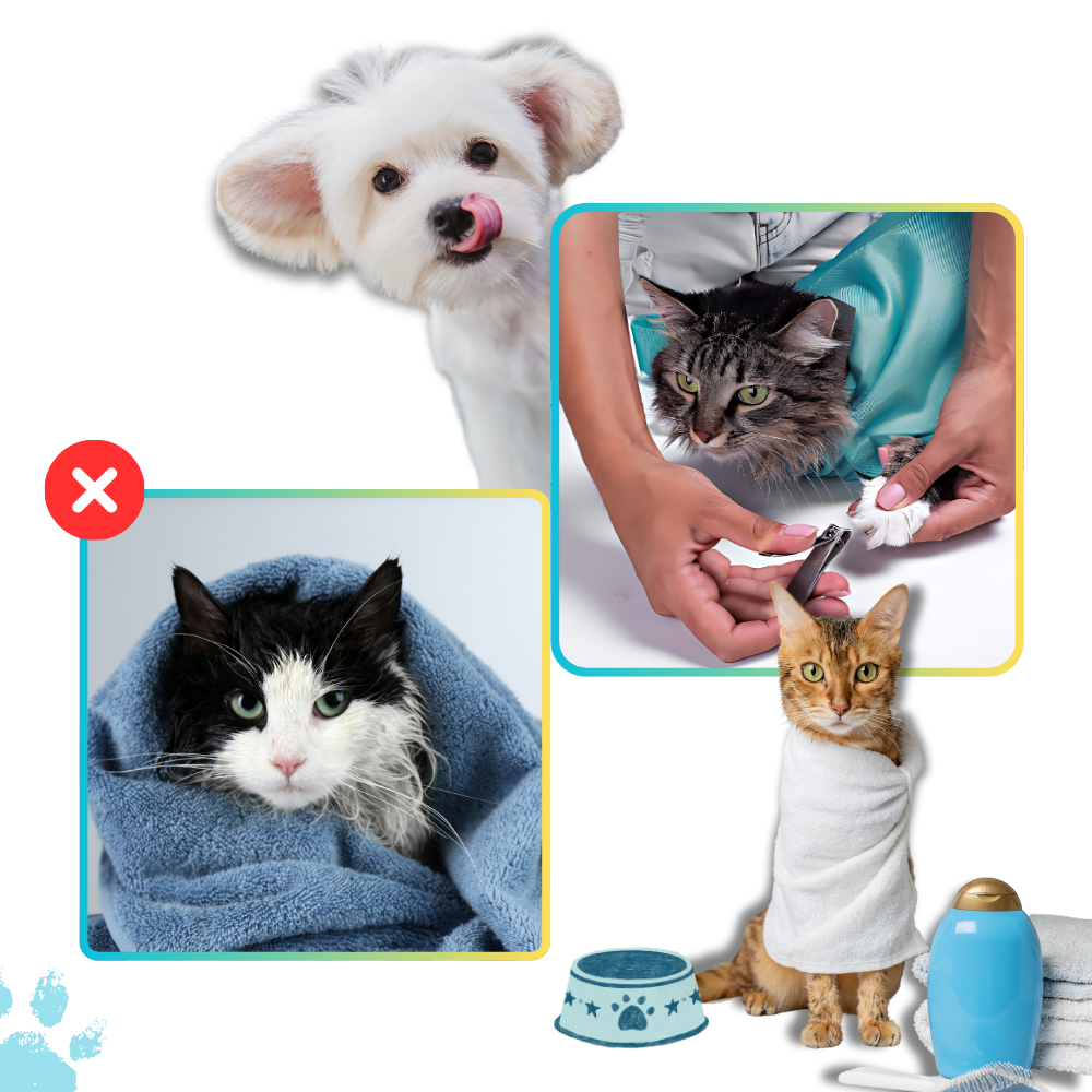 Katten Reis Tas Comfortabel en Veilig