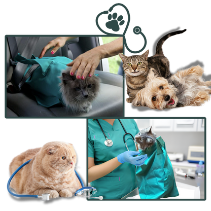 Katten Reis Tas Comfortabel en Veilig