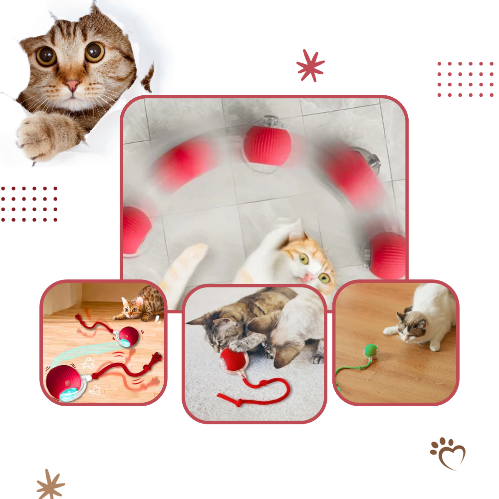 Kattenbal Speelgoed Interactief met Beweging