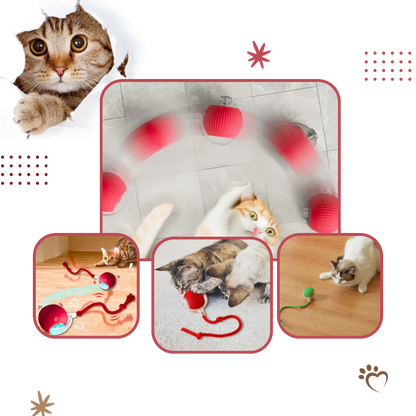 Kattenbal Speelgoed Interactief met Beweging