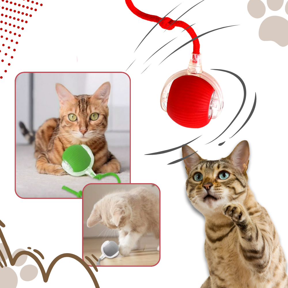 Kattenbal Speelgoed Interactief met Beweging