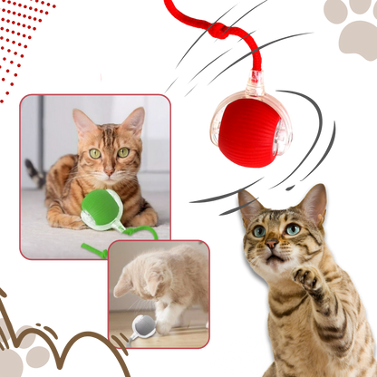 Kattenbal Speelgoed Interactief met Beweging