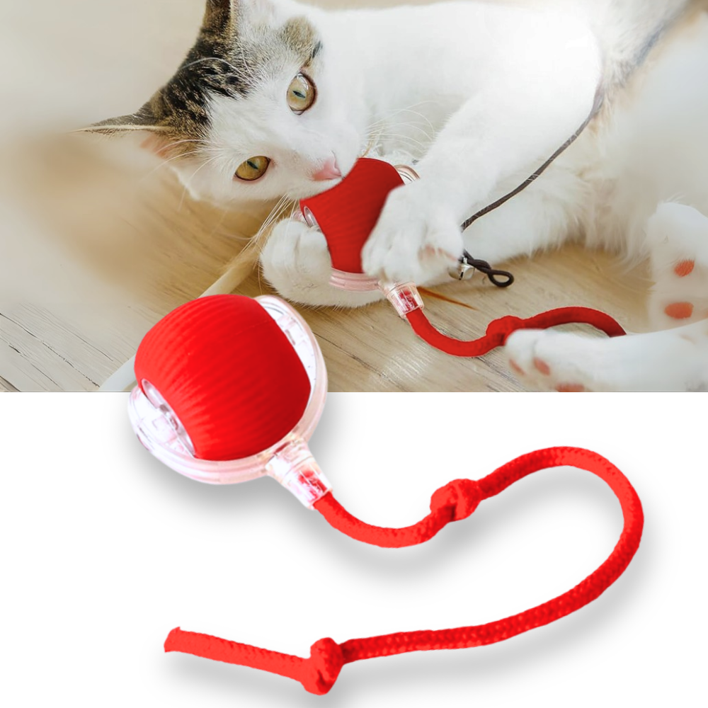 Kattenbal Speelgoed Interactief met Beweging - Velinix