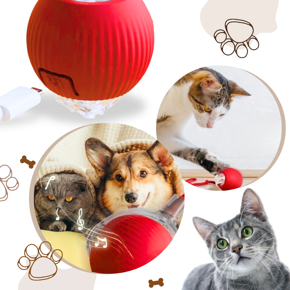 Kattenbal Speelgoed Interactief met Beweging