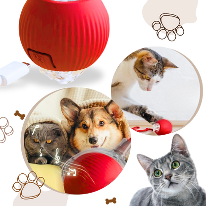 Kattenbal Speelgoed Interactief met Beweging