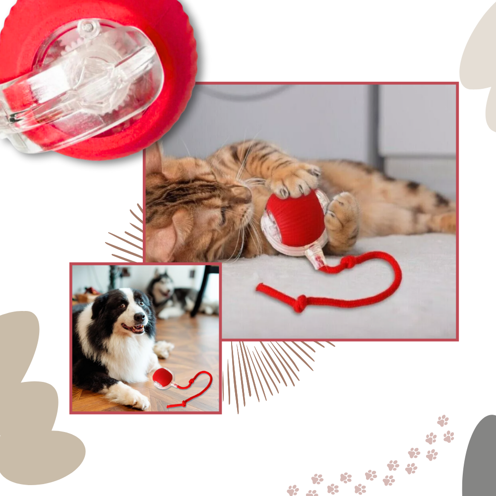 Kattenbal Speelgoed Interactief met Beweging