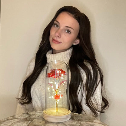 Rode Roos Sieraden Eeuwige Liefde Symbool