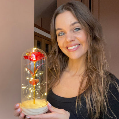 Rode Roos Sieraden Eeuwige Liefde Symbool