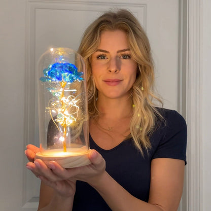 Rode Roos Sieraden Eeuwige Liefde Symbool