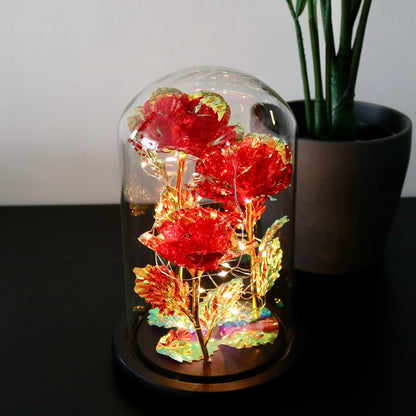 Rode Roos Sieraden Eeuwige Liefde Symbool
