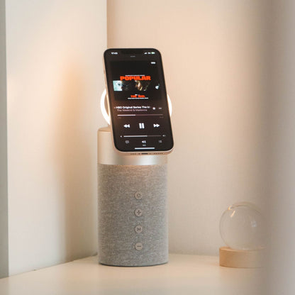 Draadloze Bluetooth Luidspreker met Oplader