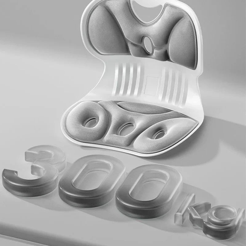 Ergonomisch Lendensteun Kussen voor Rugsteun en Comfort