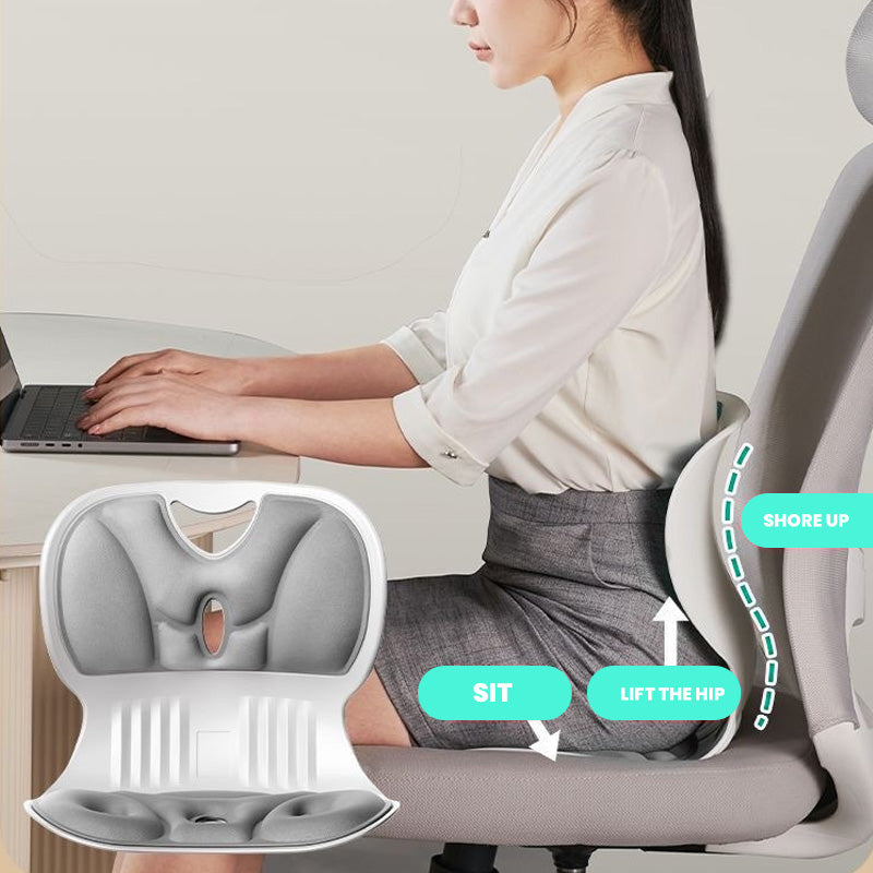 Ergonomisch Lendensteun Kussen voor Rugsteun en Comfort