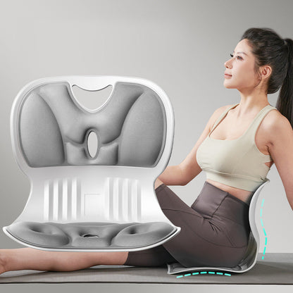 Ergonomisch Lendensteun Kussen voor Rugsteun en Comfort
