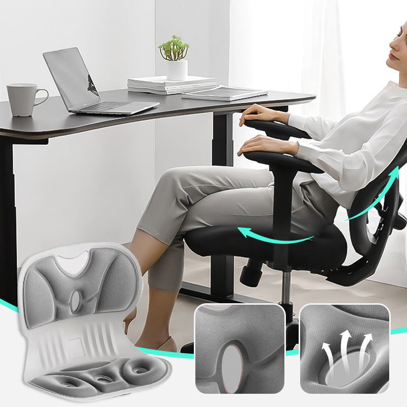Ergonomisch Lendensteun Kussen voor Rugsteun en Comfort
