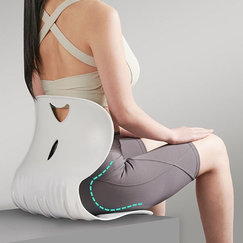 Ergonomisch Lendensteun Kussen voor Rugsteun en Comfort