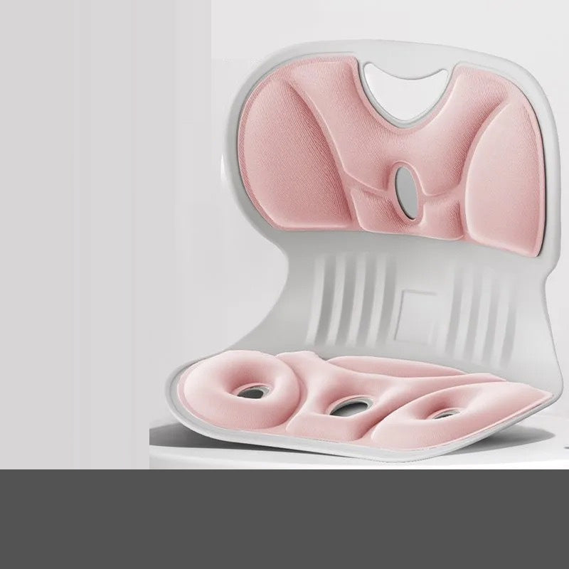 Ergonomisch Lendensteun Kussen voor Rugsteun en Comfort